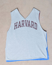 Load image into Gallery viewer, V NECK SLEEVELESS T / JOY_C
